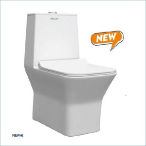 NEPHI
